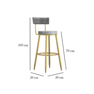 كرسي بار قماش قطيفة - MSC-437 - 50cmX103cm - أوسكار فرنتشر