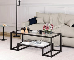 Bronda coffee table 100 * 50 glass