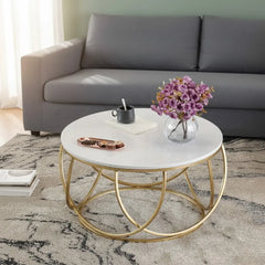 Steel Coated Coffee Table – Luxury Carrara Marble Top – Elegant Modern Design – Model ZSL-023