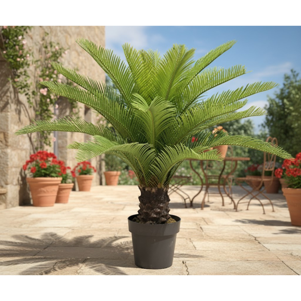 نخلة ساكيس طبيعية – لون أخضر – نبات زينة فاخر للفلل والفنادق – موديل EGP-001