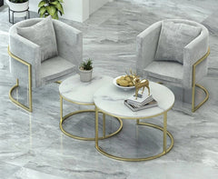 Metal sofa set and white marble quartz table - LUS-142