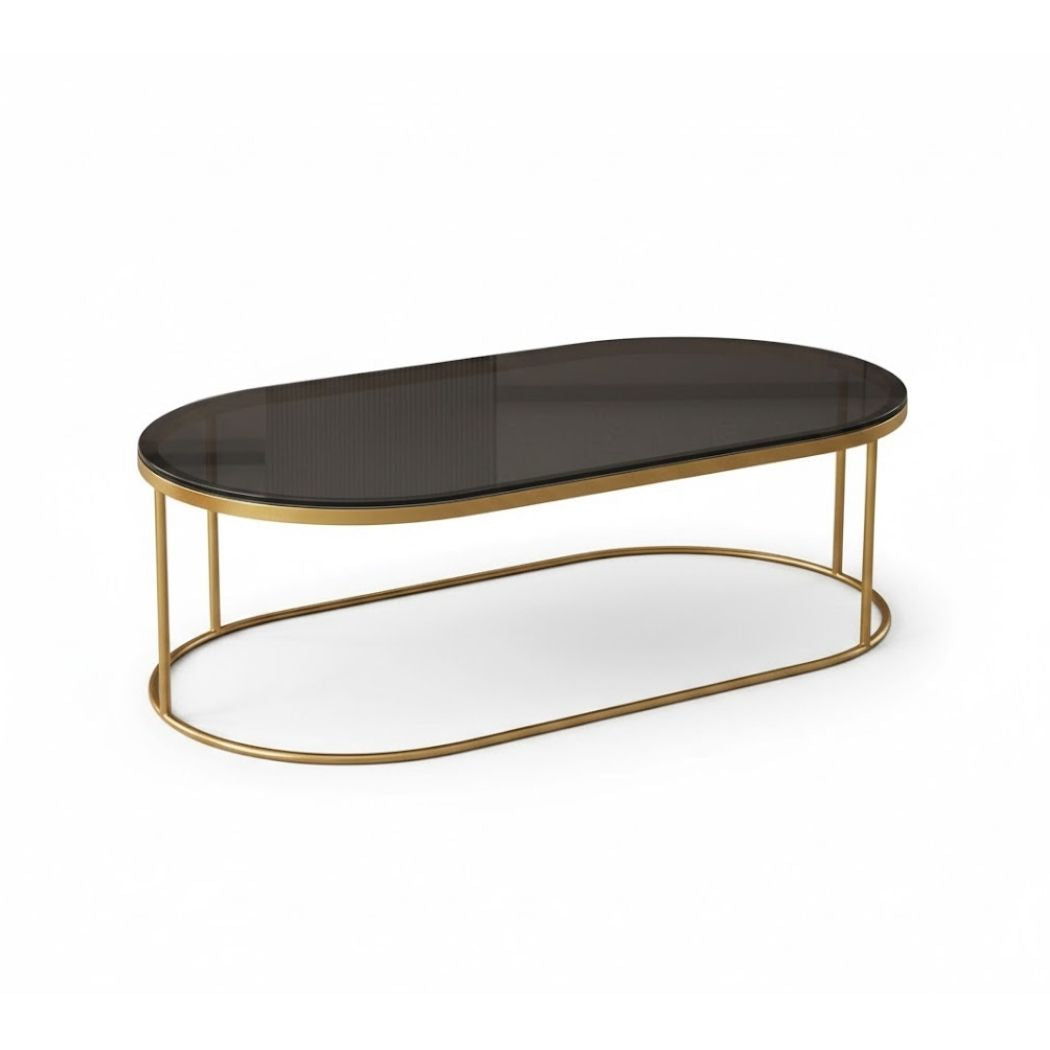 2-Piece Coffee Table Set with a Clear Black Glass Top and Iron Frame for Modern Décor REL-024