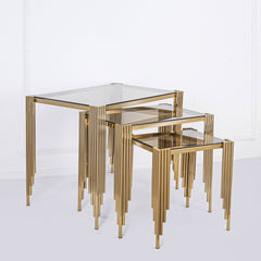 Steel Coffee Table Set - SRS-072