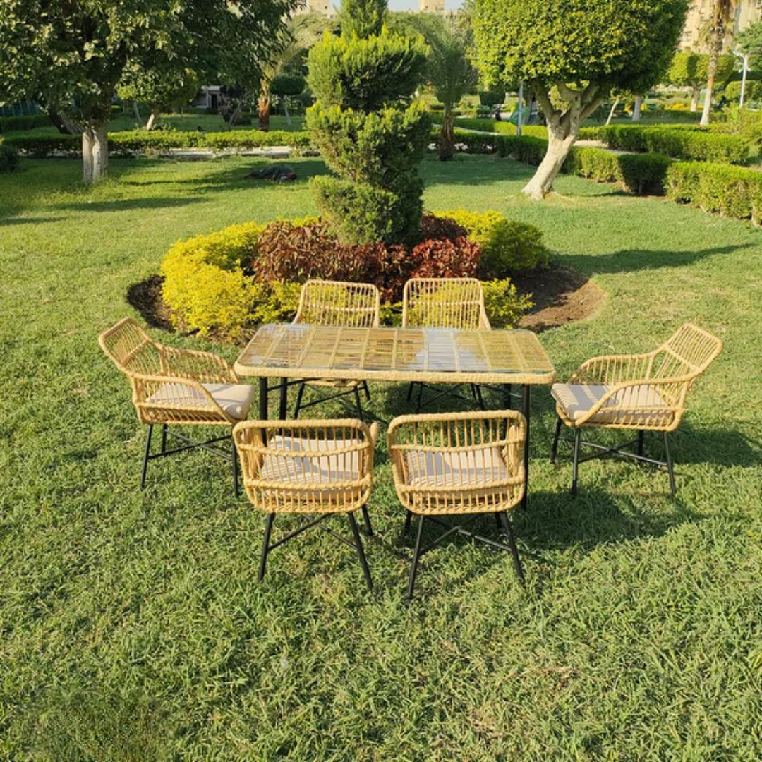 Dining set of 6 rattan chairs and table - OS-440