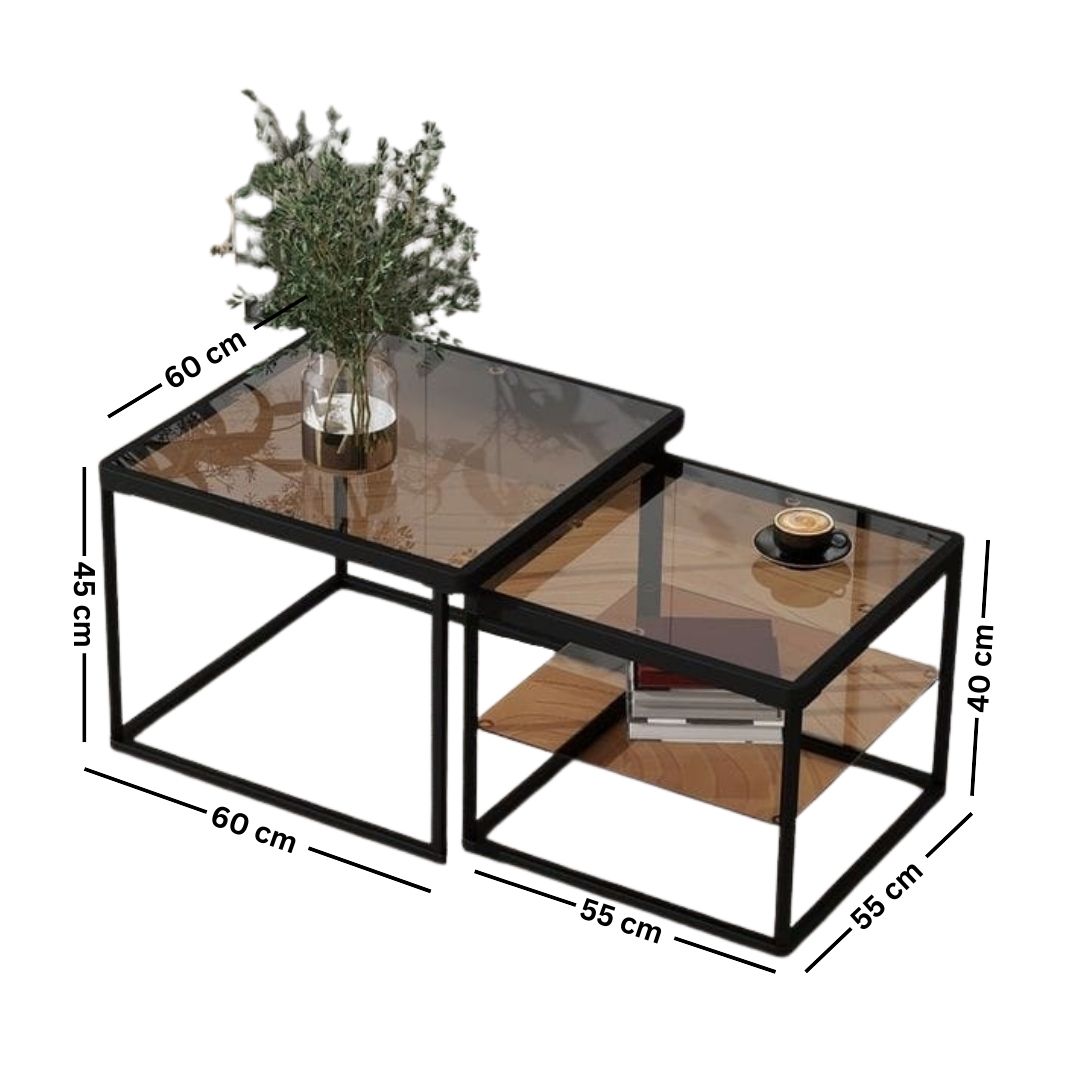 Set of metal coffee tables with glass top – luxurious modern design (2 pieces)