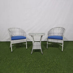 Rattan set 2 chairs and table TOK-010