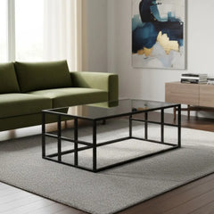 Steel coated coffee table – 6 mm smoked glass top – luxurious modern design – model ZSL-022