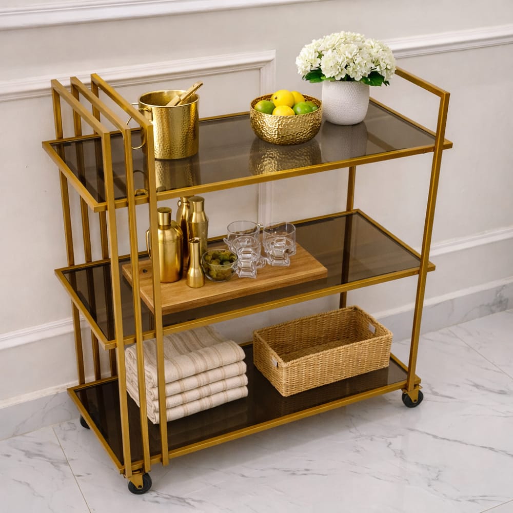 Modern trolley by Oscar Furniture – ZSL-057