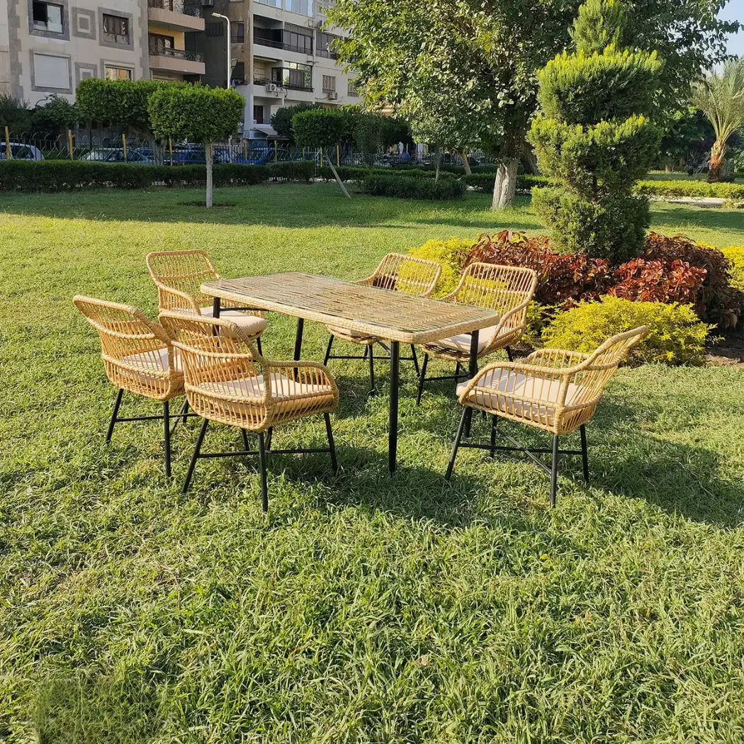 Dining set of 6 rattan chairs and table - OS-440